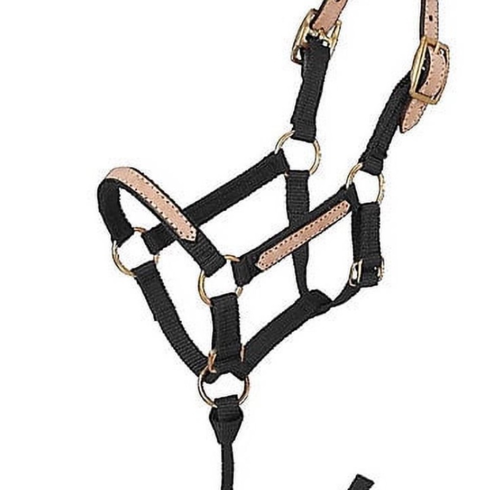 Miniature breakaway nylon halter